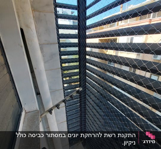 רשת מתוחה למניעת כניסת יונים במרפסת